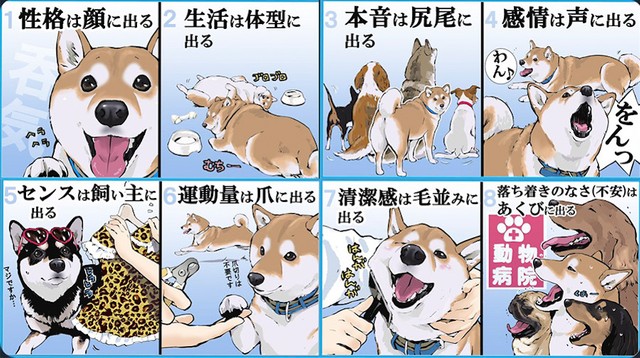 漫画『犬版 自分を表す八か条』（提供：石原 雄さん）