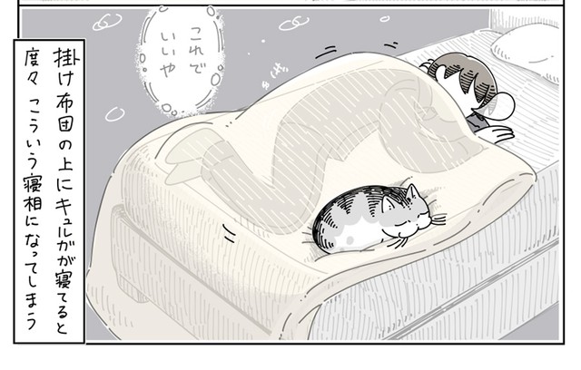 「うちも毎晩これです」という猫飼いさんたち（提供：キュルZさん）