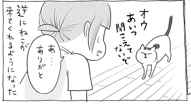 犬くんを呼んだら、猫さまが来てくれるように（提供：松本ひで吉さん）