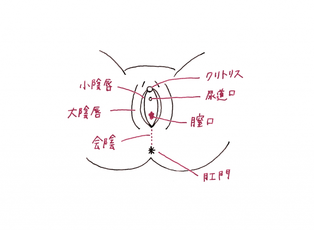 気になるデリケートな話 3 Savvy Editor S Note